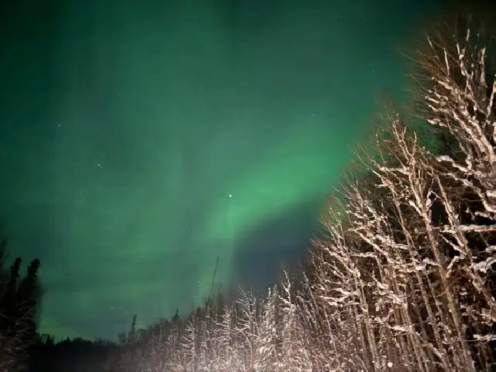 looking to rent a suite. for April 1st