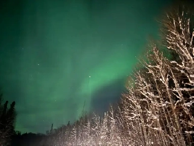 looking to rent a suite. for April 1st