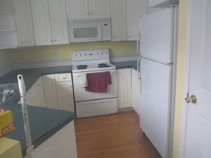 Sunny Two Bedroom Apartment for Rent