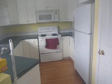 Sunny Two Bedroom Apartment for Rent