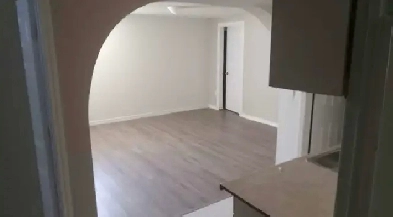 Rundle  2 BR basement - immediate vacancy