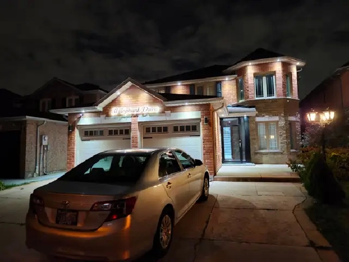 1 Bedroom Basement for Rent (Betw Humber college & 427