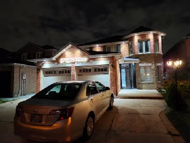 1 Bedroom Basement for Rent (Betw Humber college & 427