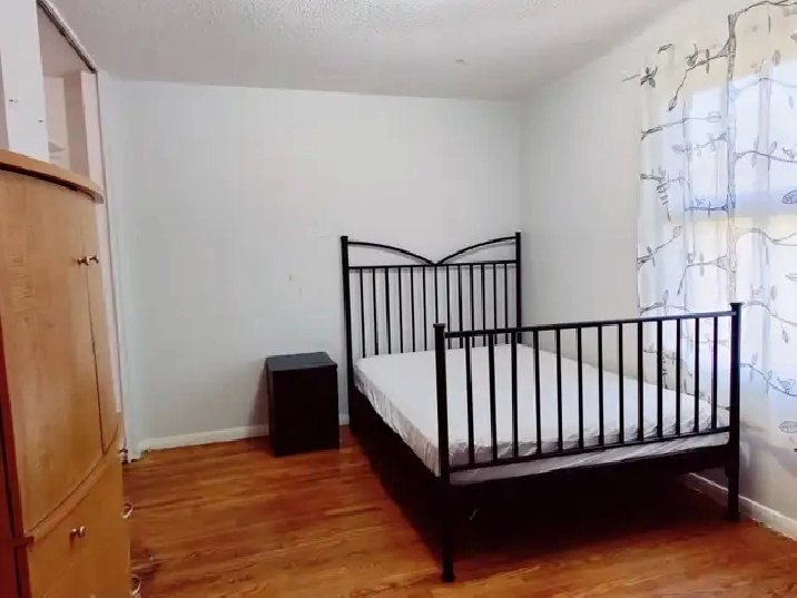 All Inclusive Large Private Bedroom near Carleton & Algonquin