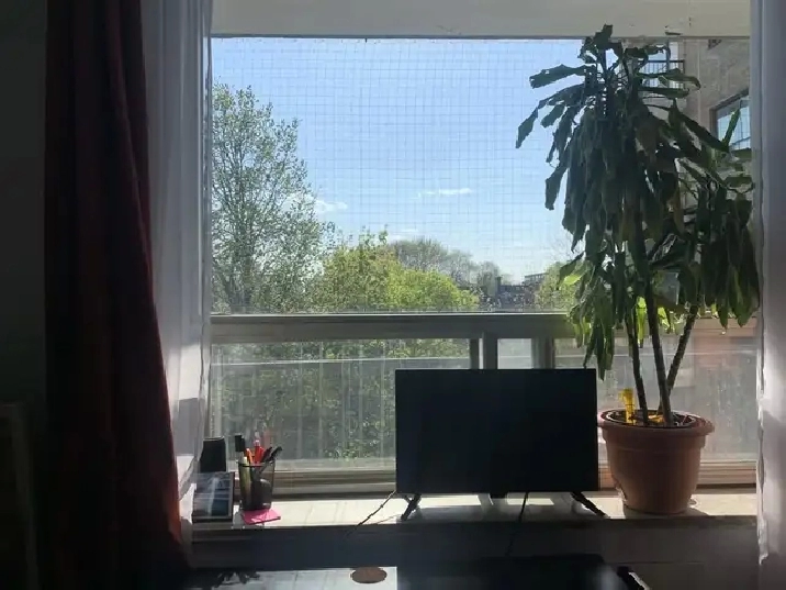 Studio Apartment for Rent | May 1 Lease | $1,395/mo