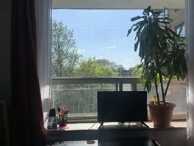 Studio Apartment for Rent | May 1 Lease | $1,395/mo