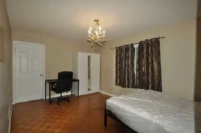 main floor room and basement room for rent