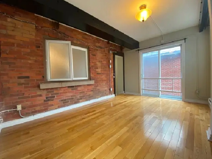 Bright and Spacious 1-bedroom unit! Available June 1st!