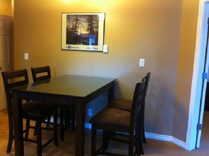 Fully furnished, 2-bedroom condo in downtown Edmonton