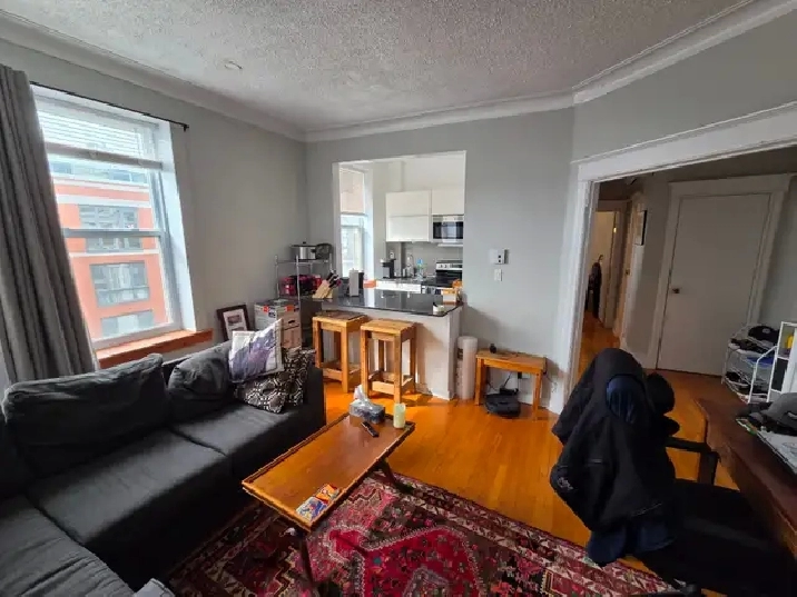 3½ Sunny, Clear View & Spacious - Vendôme M, NDG