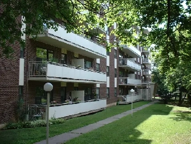 One bedroom apartment for rent - 1 MONTH FREE