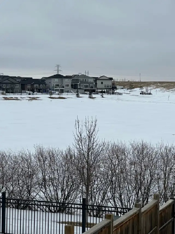 2 legal bedroom fully furnished in workout basement