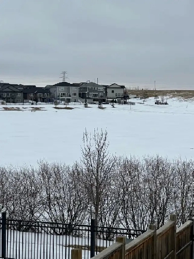 2 legal bedroom fully furnished in workout basement