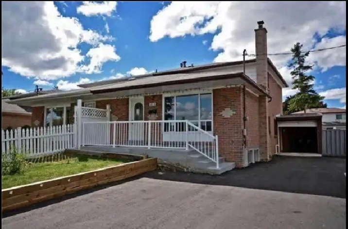 Malton Basement for Rent - 1 1 Bedroom