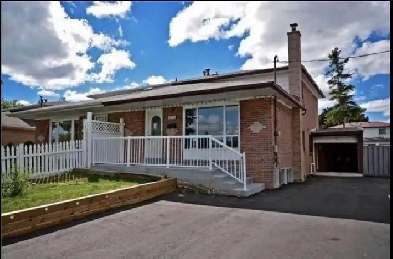 Malton Basement for Rent - 1 1 Bedroom