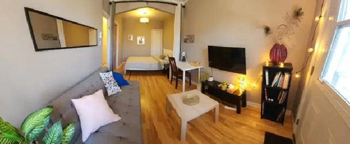 1 350$ Studio Métro Fabre Ligne Bleue.