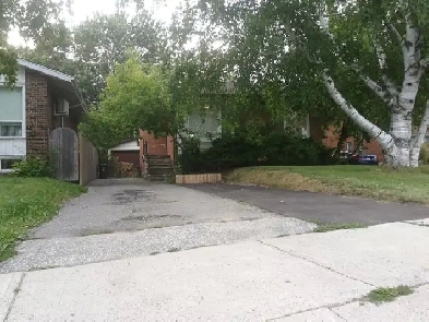 Furnished 3 Bedrooms House Near Warden & Sheppard