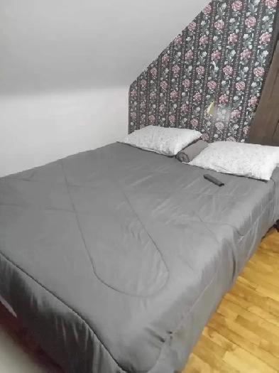 Large Furnished Room for Rent from May 1 to Sept 1/26