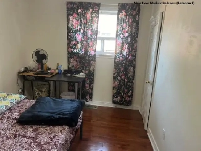 Room near UTSC & Centennial