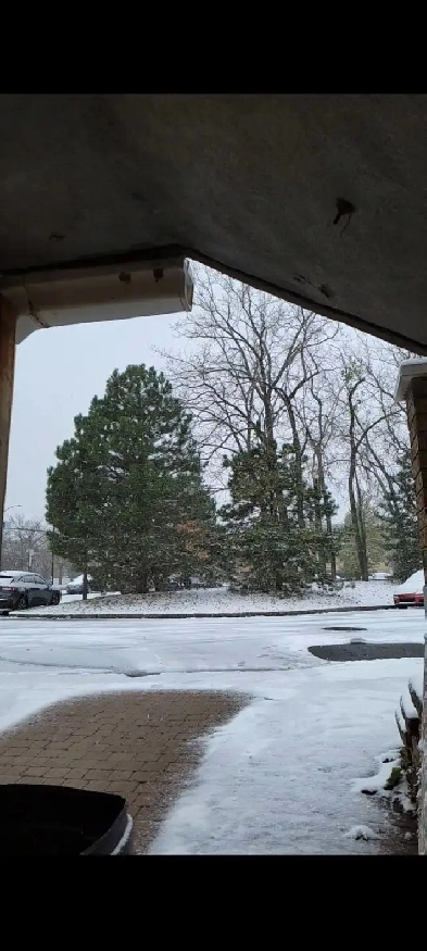 rent apparemment 31/2