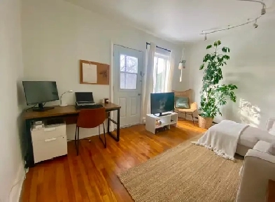 Grand Ahuntsic 3 1/2 logement à louer - juillet 1