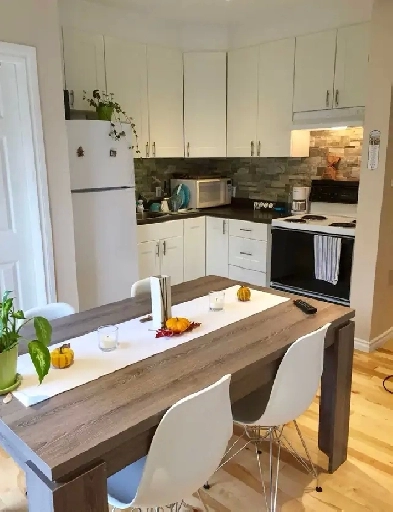 Lumineux 41/2 avec cour privée a Rosemont/  Dispo 1er Mai