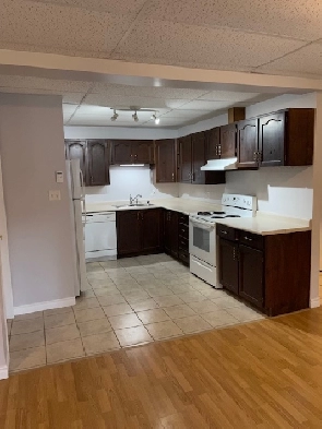 Apartment 15 mins from Huntsville, Quiet, Bright 2 BR, No stairs