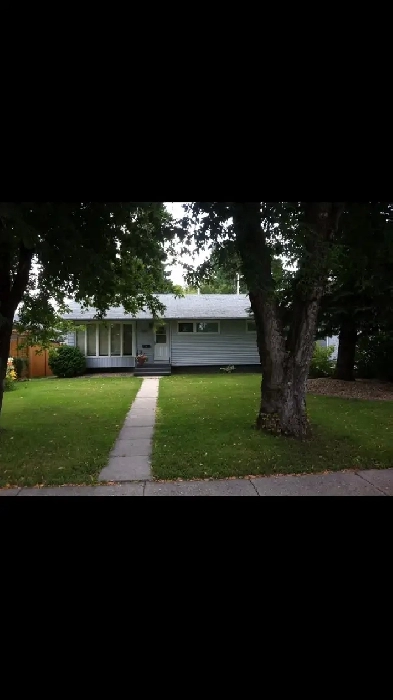 2 Bdrm Basement suite Wiggins Ave near University Eastside