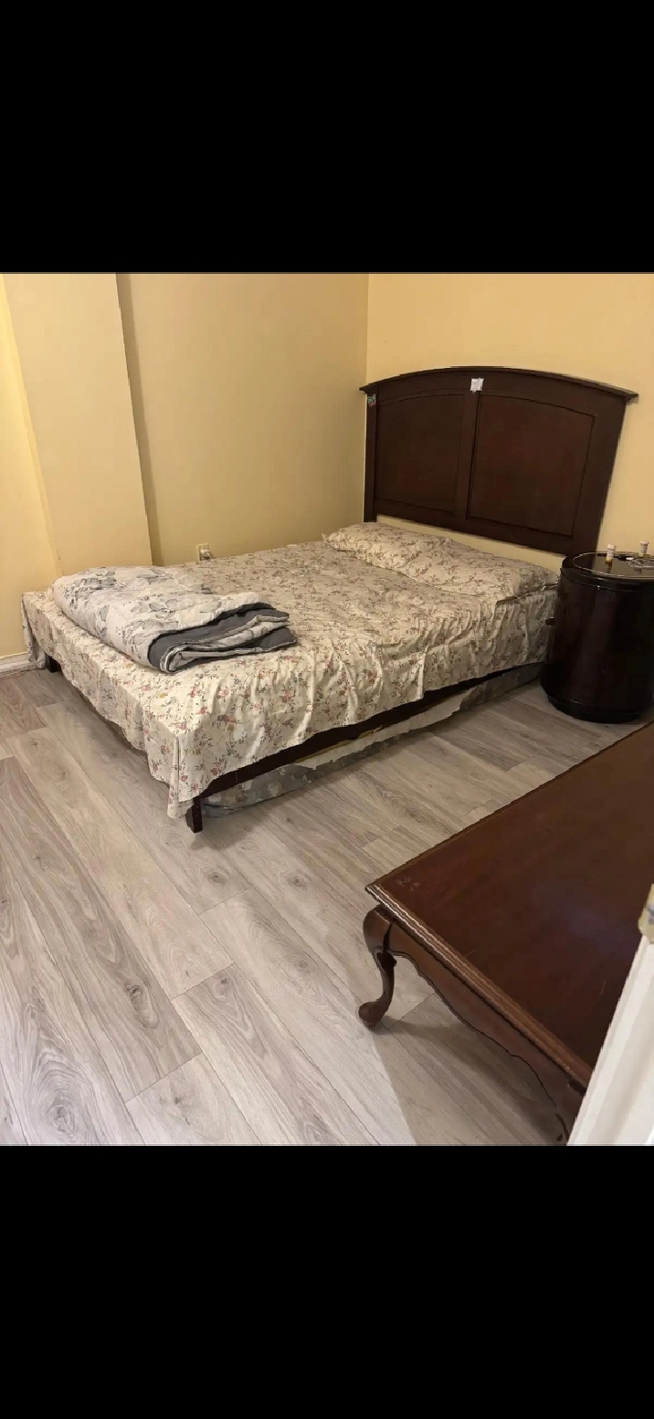 1 Bedroom basement apartment in Brampton for Rent - May 1, 2026