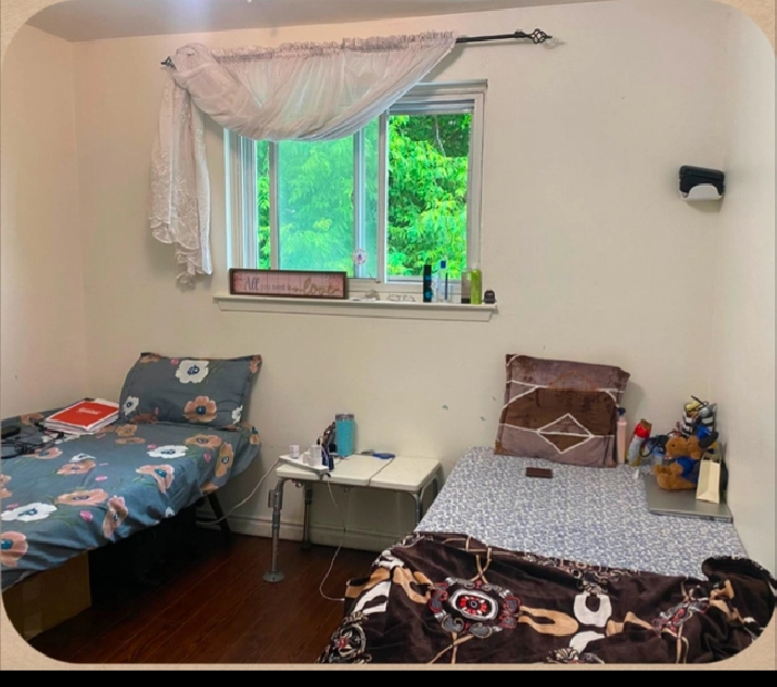 Room for 1  Girl in Sharing  with Pbi food-$500-Malton