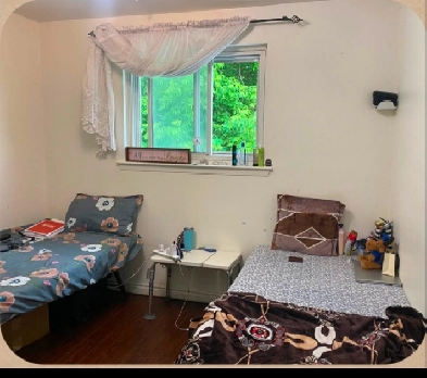 Room for 1  Girl in Sharing  with Pbi food-$500-Malton