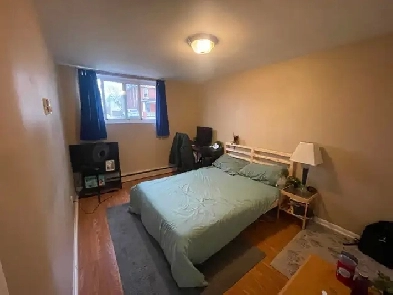 476 Albert St, Ready for May 1st! Minutes from Queens Campus!