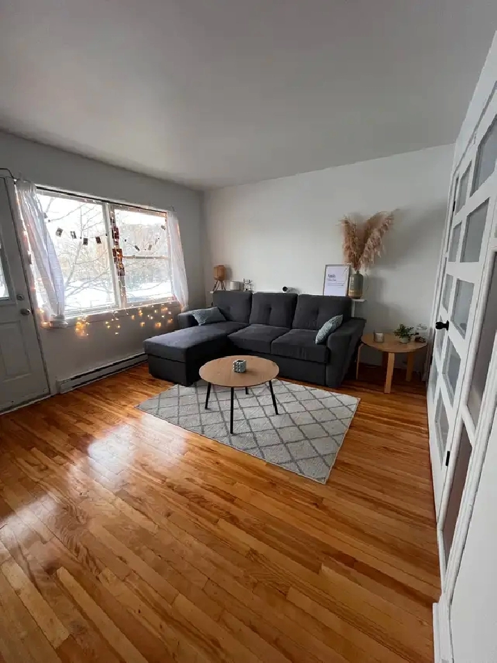 Appartement 4 1/2 à louer Ahuntsic