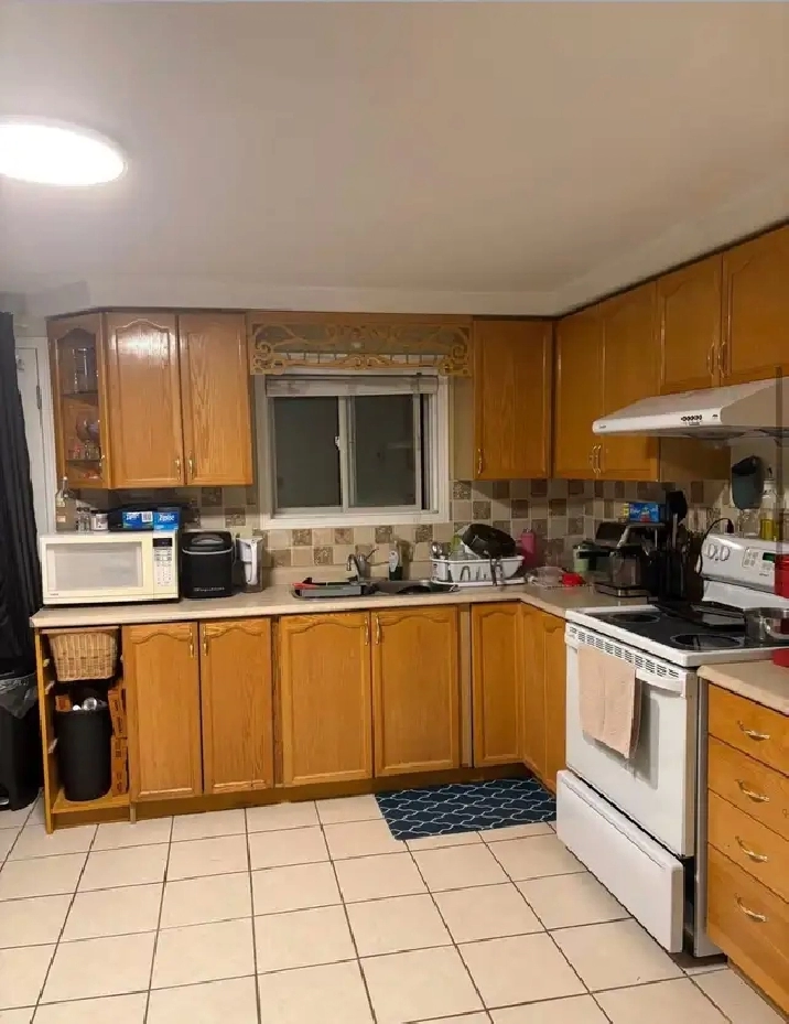 University of Guelph student accommodation room available