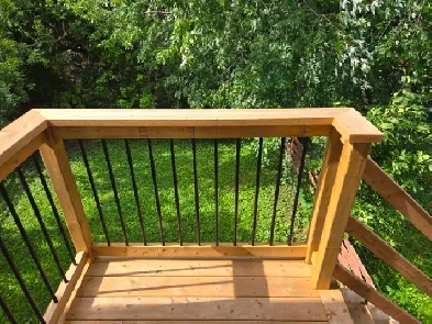 Students & Professionals: Large, Clean Room Near Carleton U.