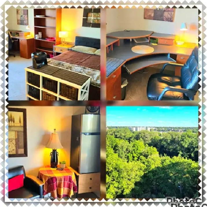 WESTERN-EXECUTIVE SHARED INCLUSIVE FURNISHED