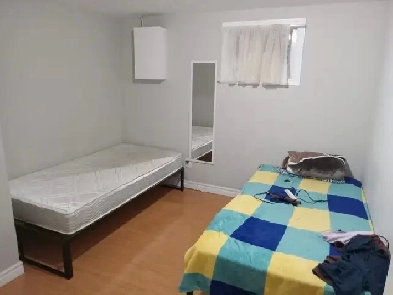 Shared Room for Rent