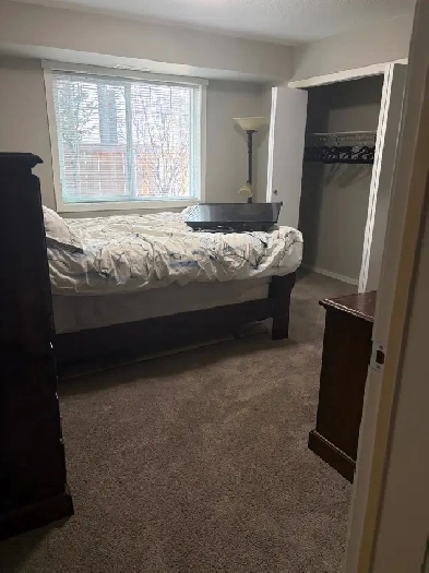 Furnished Room / Bathroom CALG NE