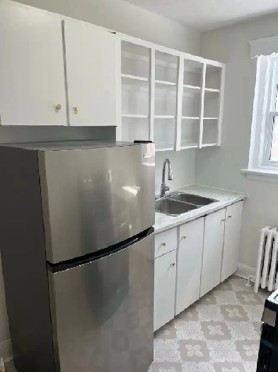 1 bedroom apt plus den