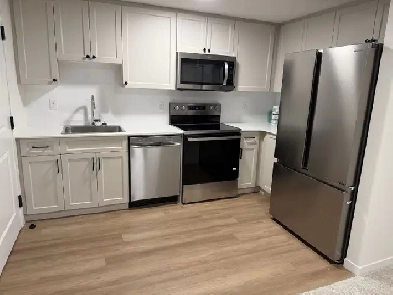 Brand New 1 Bed Basement Unit for Rent in Rosemont Area