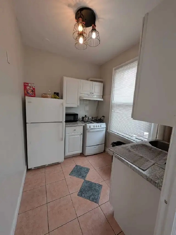 one bedroom apt available downtown simcoe