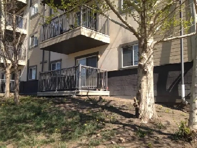 NICEST SUITE IN THE BUILDING - CHECK FOR YOURSELF!