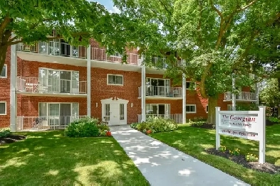 Bachelor suite for rent May 1st