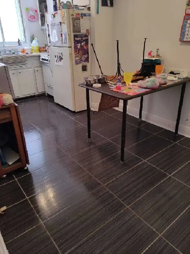 Superbe 4 et demi idéalement situé