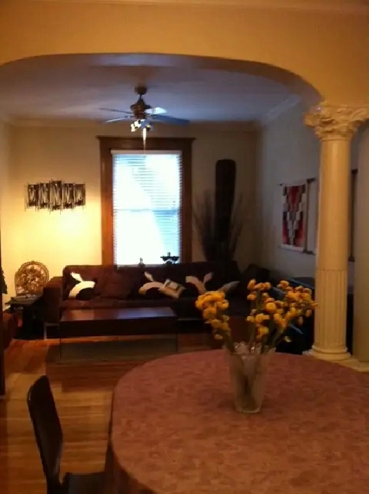 Large 7 1/2   finished basement and yard near Jean-Talon market