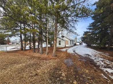 house for rent in thorsby