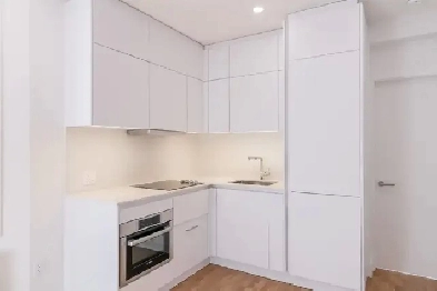 Renovated 1 bed 1 bath near UDEM on Van Horne & CDN - ID 1952