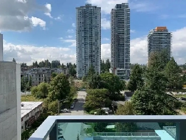 Central Surrey - One Bedroom Microsuite