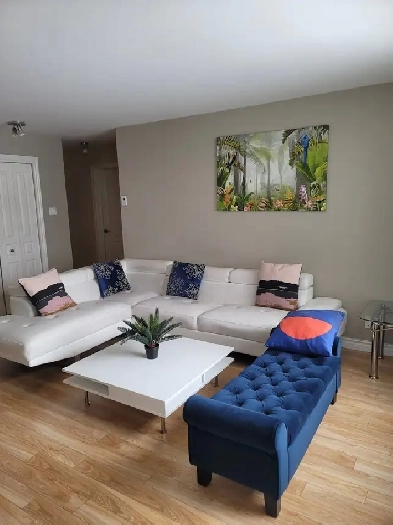 Grand et beau 4 1/2 tous inclus et entièrement meublé