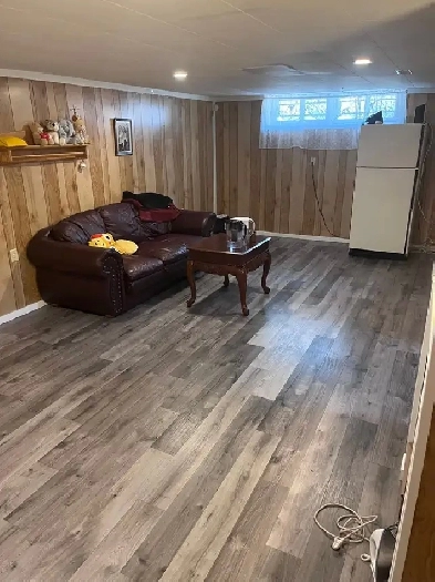 Basement for rent